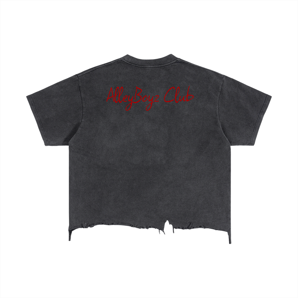 Vintage Wash Boxy Distressed Hem T-Shirt