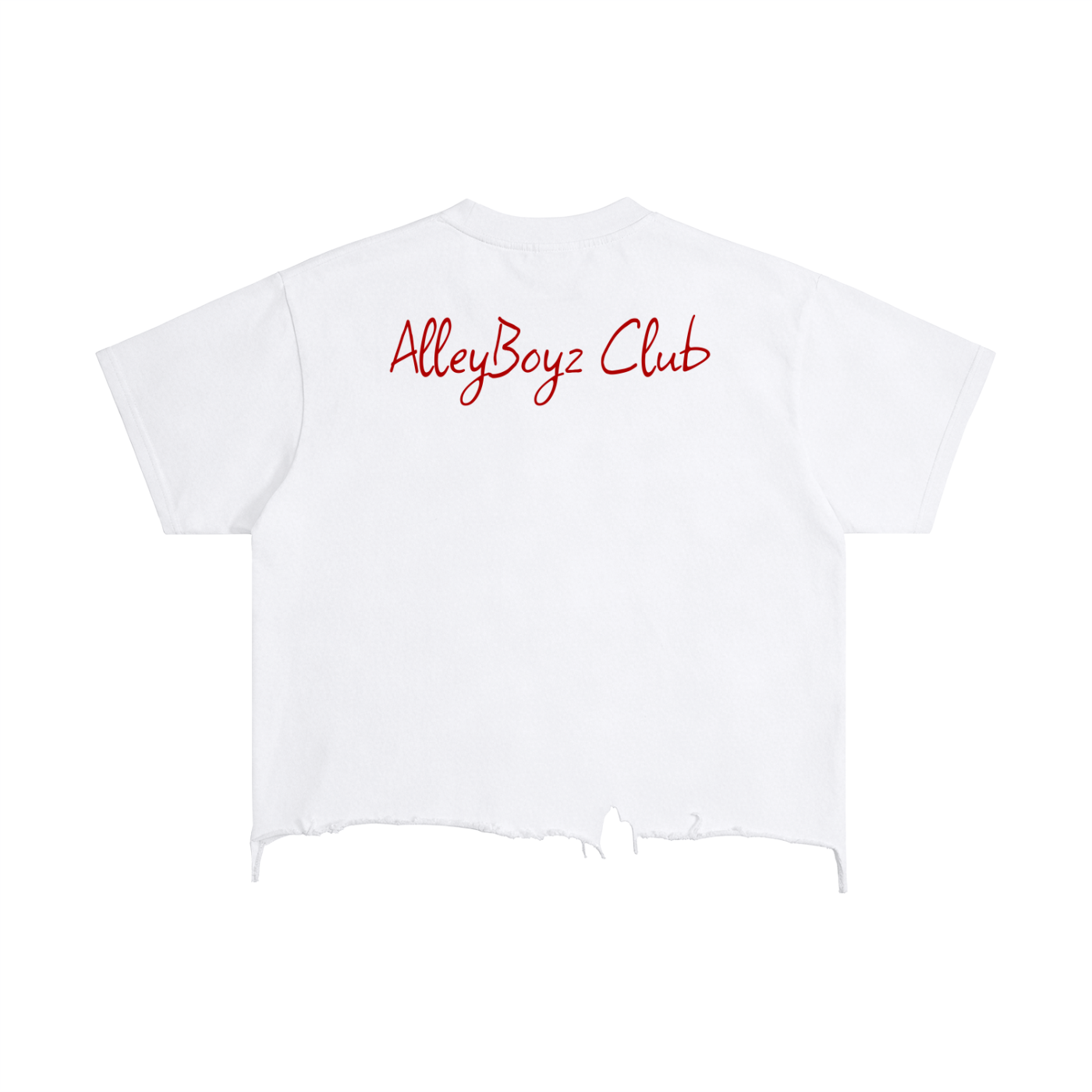 Vintage Wash Boxy Distressed Hem T-Shirt